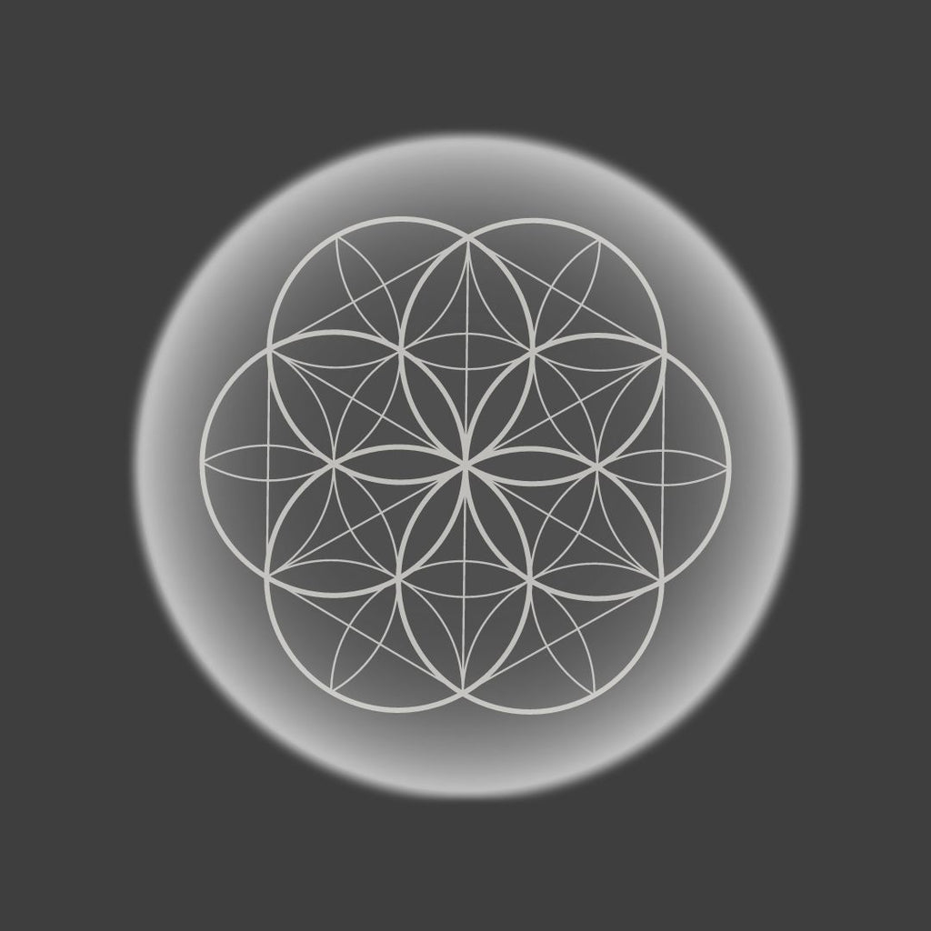 stylized lotus logo circle